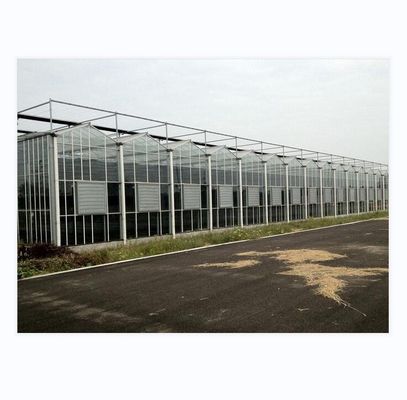 Grande serre agricoles intelligentes Hollande verre pour les tomates concombre laitue