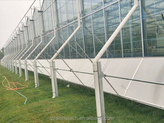 Grande serre agricoles intelligentes Hollande verre pour les tomates concombre laitue