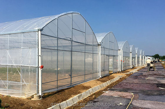 Serre agricole à haute résistance multi-étendue par Shine Tech