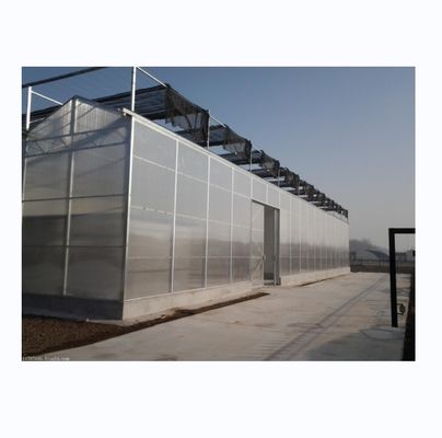 PC Serre hydroponique en feuille de polycarbonate en plastique à longue portée