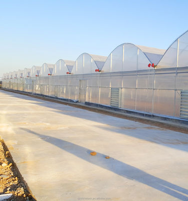 Serre agricole à haute résistance multi-étendue par Shine Tech
