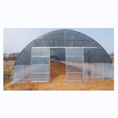 Serre à tomates couverte d'un film en hauteur de tunnel avec filet d'ombrage à une seule couche longueur 10-100m