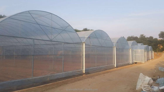 Serre agricole à haute résistance multi-étendue par Shine Tech