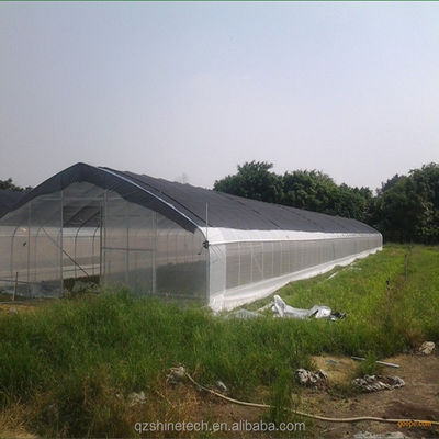 Serre à tomates couverte d'un film en hauteur de tunnel avec filet d'ombrage à une seule couche longueur 10-100m