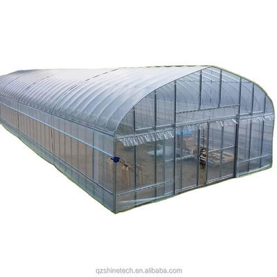 Serre à tomates couverte d'un film en hauteur de tunnel avec filet d'ombrage à une seule couche longueur 10-100m