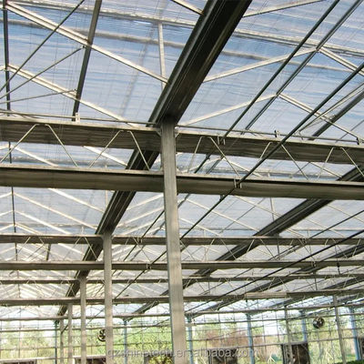 Grande serre agricoles intelligentes Hollande verre pour les tomates concombre laitue