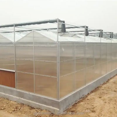 Producteurs de serres de culture de tomates dans le style Venlo avec couvercle en feuille PC
