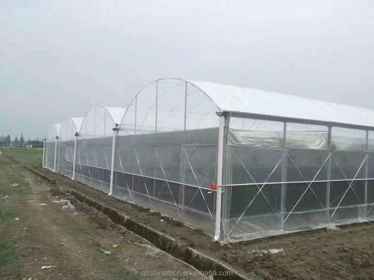 Résistance extrêmement élevée Agriculture Serre multispan pour la culture de légumes