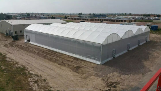 Résistance extrêmement élevée Agriculture Serre multispan pour la culture de légumes