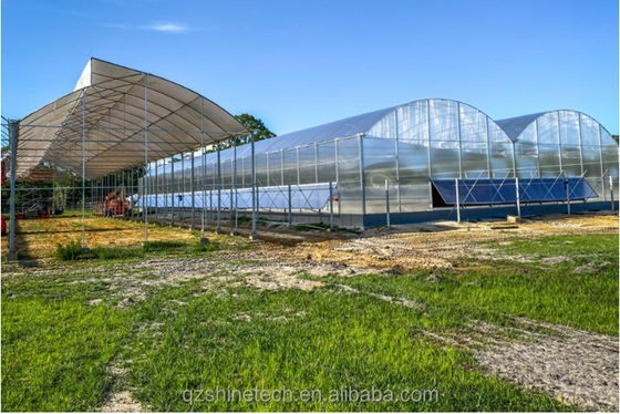 Serre à plusieurs étendues commerciale agricole intelligente Venlo PC hauteur 4,0 à 8,0 m