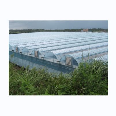 Serres à film agricole à longue portée avec système de refroidissement facultatif