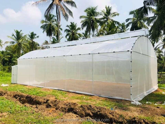 Tracé Shine Tech Tunnel à bande unique Serres agricoles