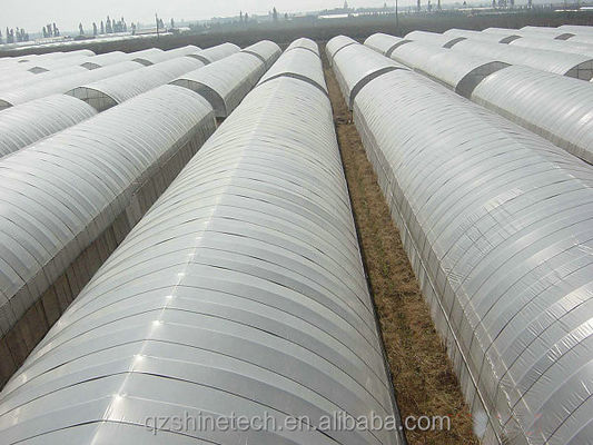 Tracé Shine Tech Tunnel à bande unique Serres agricoles
