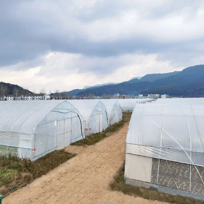 Tracé Shine Tech Tunnel à bande unique Serres agricoles