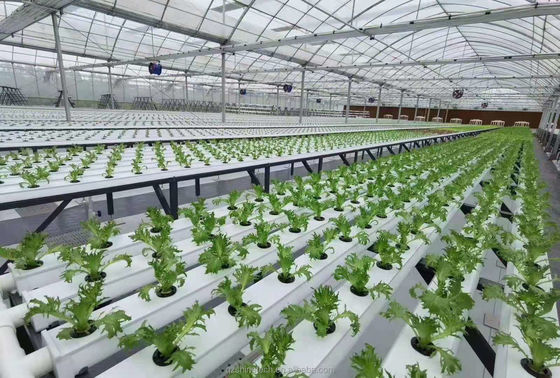 Système de culture hydroponique 100*50mm NFT PVC Pipe Agriculture verticale avec accessoires blancs
