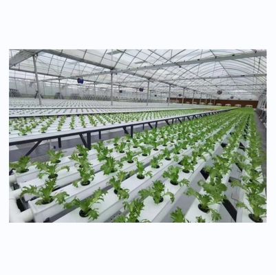 Chaîne NFT en PVC de type horizontal pour la culture hydroponique de légumes à feuilles de taille personnalisée
