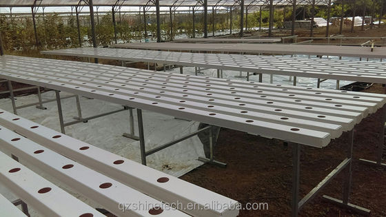 Chaîne NFT en PVC de type horizontal pour la culture hydroponique de légumes à feuilles de taille personnalisée