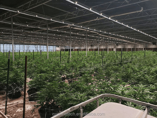 Élevage en serre à grande pellicule Système de privation de lumière entièrement automatisé pour l'agriculture
