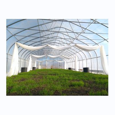 Serre à bande unique à cadre simple à film poly-tunnel Serre pour l'agriculture