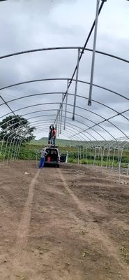 Serre à bande unique à cadre simple à film poly-tunnel Serre pour l'agriculture