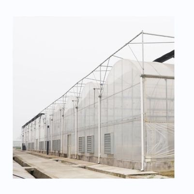 Serres agricoles de 8m de largeur de couche multi-couche pour des solutions agricoles polyvalentes