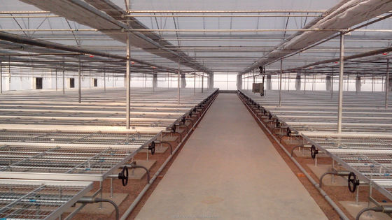 8m-12m Largeur de l'étendue Serre entièrement automatisée à coupure d'électricité pour l'agriculture supérieure