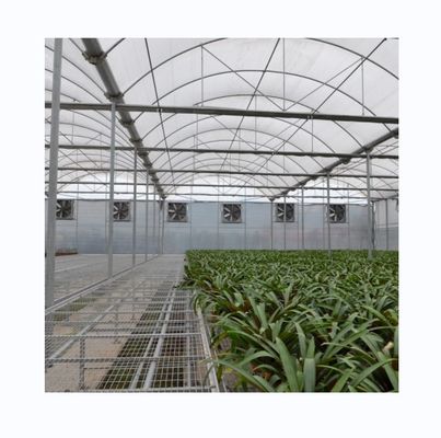 Serre à film poly-étendu pour l'agriculture Système de refroidissement et d'irrigation facultatif