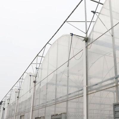 Serre à film poly-étendu pour l'agriculture Système de refroidissement et d'irrigation facultatif
