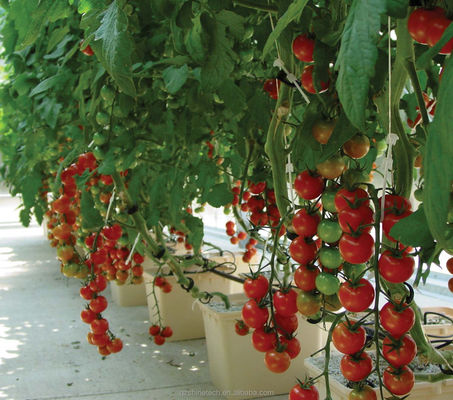 30*25*23cm Dutch Bucket Système de culture hydroponique complet pour les tomates, les concombres et le poivre