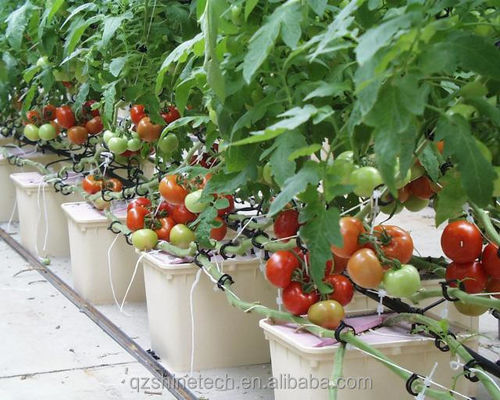 30*25*23cm Dutch Bucket Système de culture hydroponique complet pour les tomates, les concombres et le poivre
