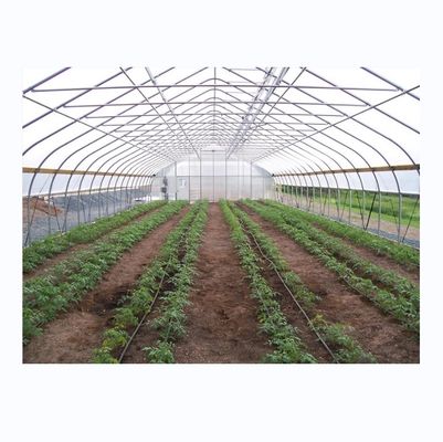 Petite serre en tunnel agricole avec cadre en acier galvanisé
