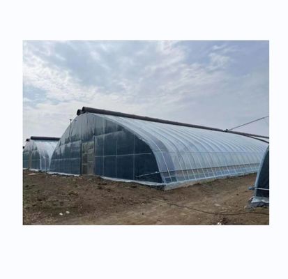 PE tunnel solaire à couche unique serre agricole hauteur 4-6M