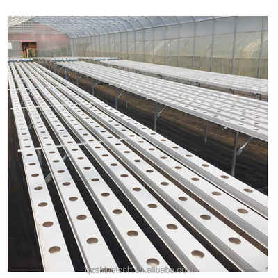 Vidéo d'inspection 100*50 mm de ruisseau de plantation en PVC pour une hydroponie NFT personnalisée