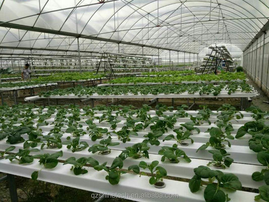 Vidéo d'inspection 100*50 mm de ruisseau de plantation en PVC pour une hydroponie NFT personnalisée