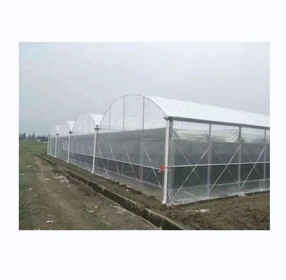 150/200 microns Serre à plusieurs étendues en plastique pour la culture de légumes et de fleurs