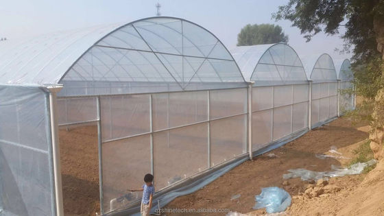 150/200 microns Serre à plusieurs étendues en plastique pour la culture de légumes et de fleurs