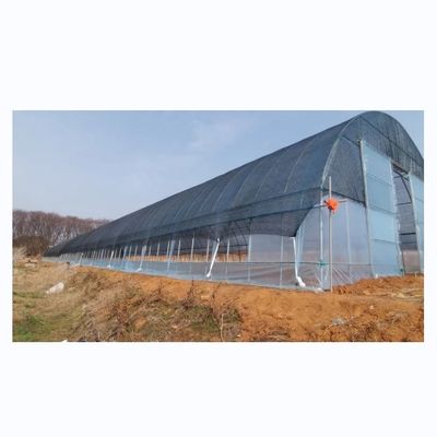 Serres agricoles à seule étendue Serre à film d'ombrage pour la plantation de tomates
