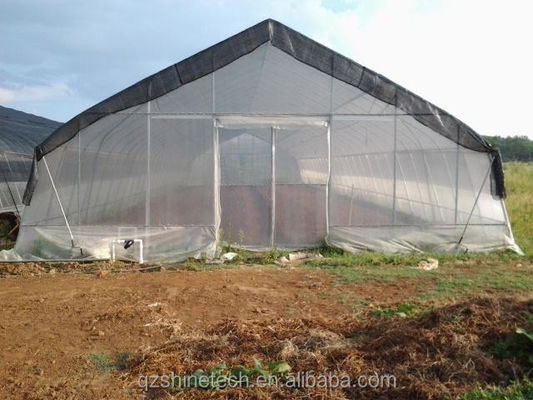 Serres agricoles à seule étendue Serre à film d'ombrage pour la plantation de tomates