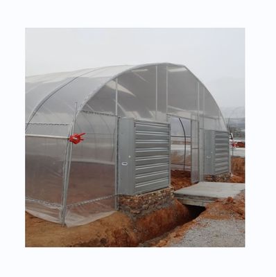 Système de refroidissement Serres agricoles à longue portée pour l'agriculture de tomates