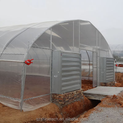 Système de refroidissement Serres agricoles à longue portée pour l'agriculture de tomates
