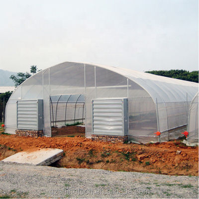 Système de refroidissement Serres agricoles à longue portée pour l'agriculture de tomates