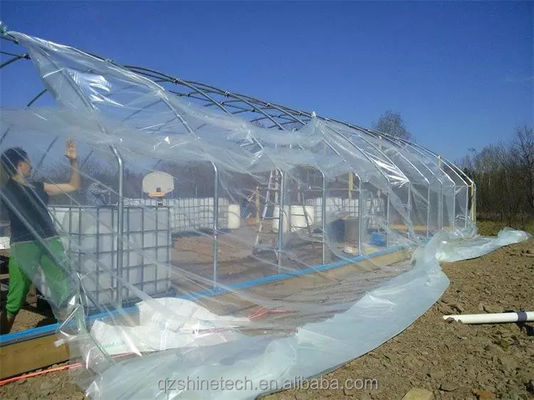 Film de protection UV transparent et clair pour le système de refroidissement