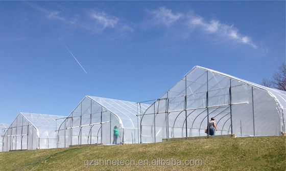 Film de protection UV transparent et clair pour le système de refroidissement
