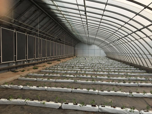 Serre solaire recouverte de film pour une culture durable de concombres hivernaux