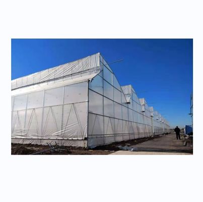 Grande serre à dent de scie, poly-tunnel, avec ventilation