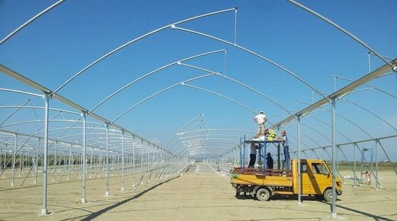 Grande serre à dent de scie, poly-tunnel, avec ventilation