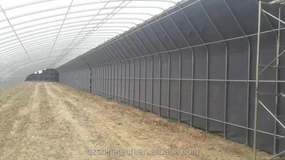 Serre solaire recouverte de film pour une culture durable de concombres hivernaux