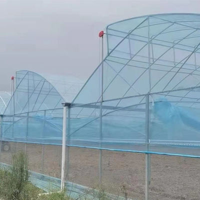Grande serre à dent de scie, poly-tunnel, avec ventilation
