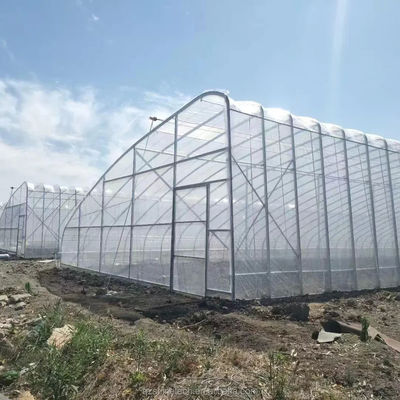 Serre solaire recouverte de film pour une culture durable de concombres hivernaux