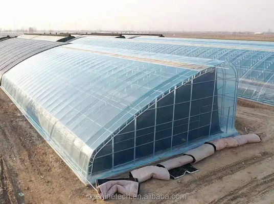 Serre solaire recouverte de film pour une culture durable de concombres hivernaux